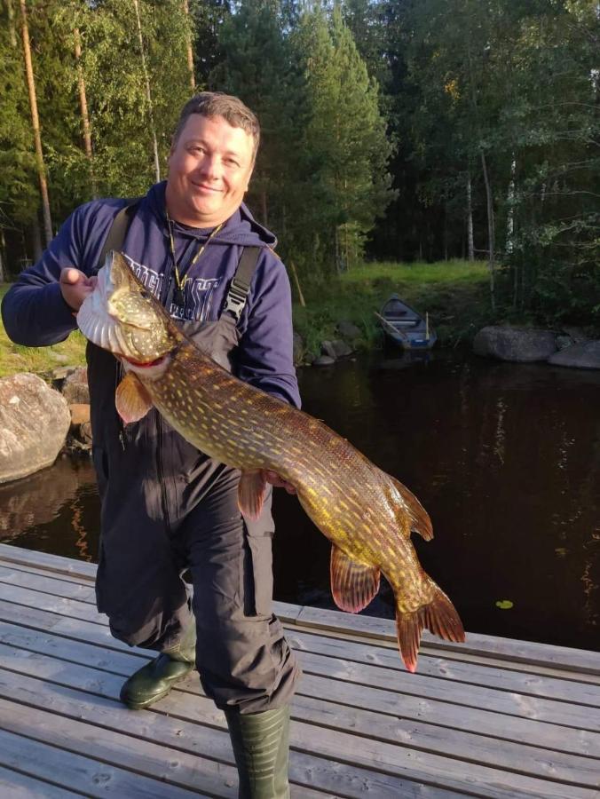 Viihtyisae Hirsimoekki Jaerven Rannalla Siikainen Eksteriør billede